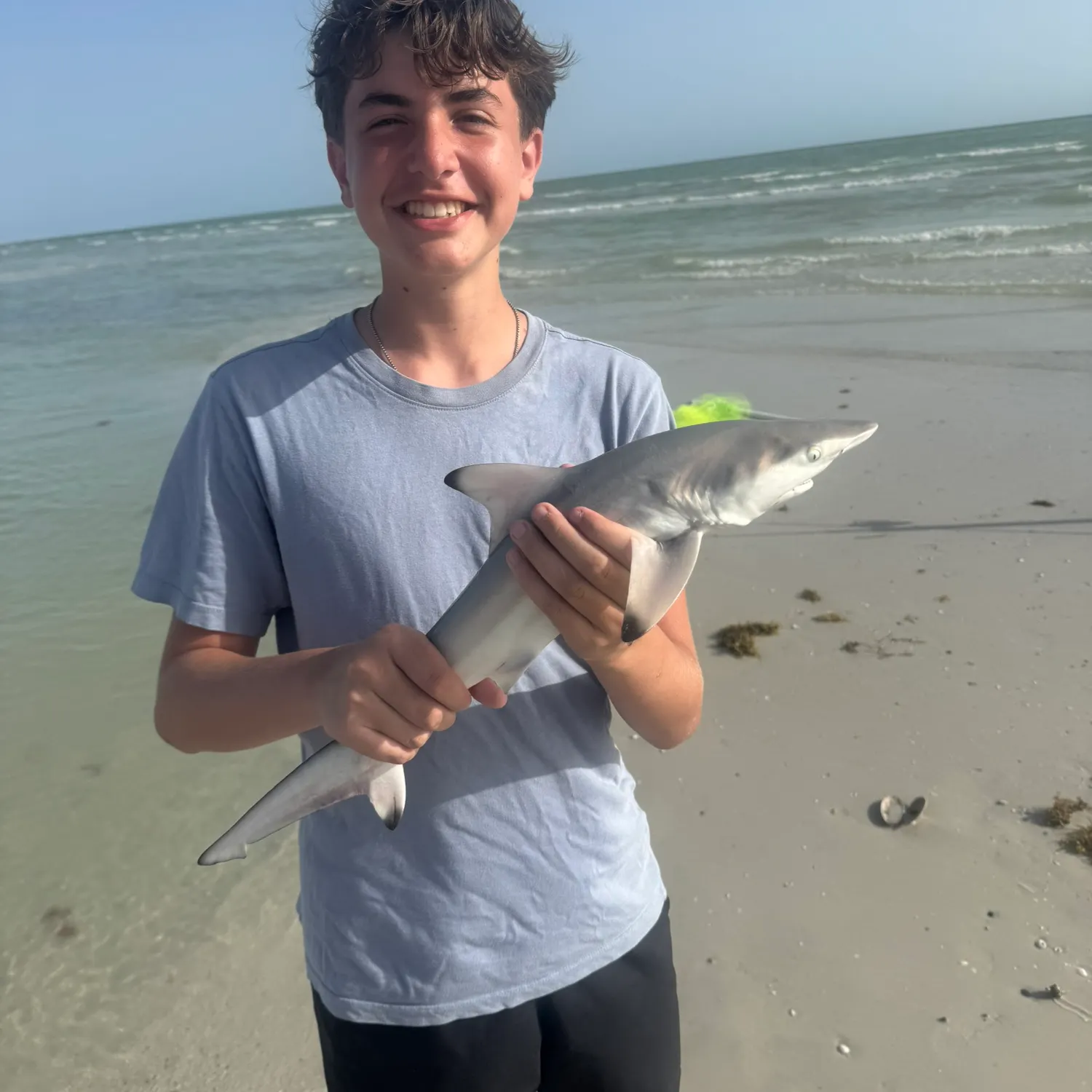 most liked catch image