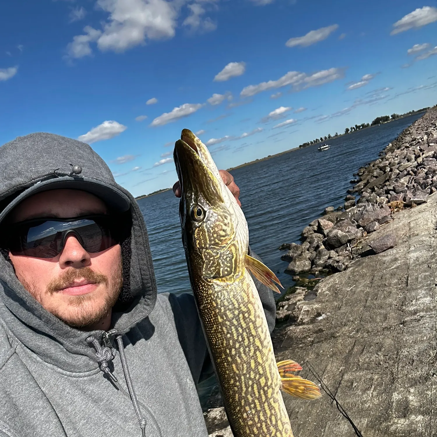 Northern pike caught on Fishbrain