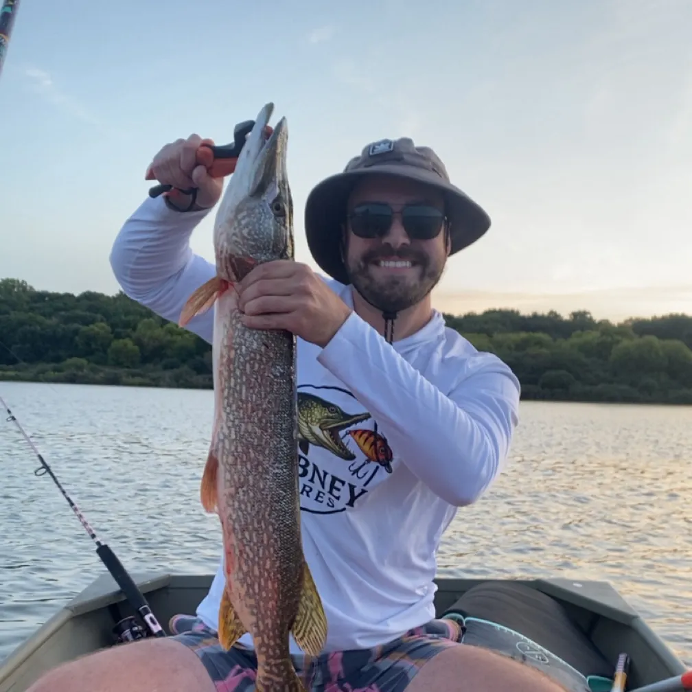 Northern pike caught on Fishbrain