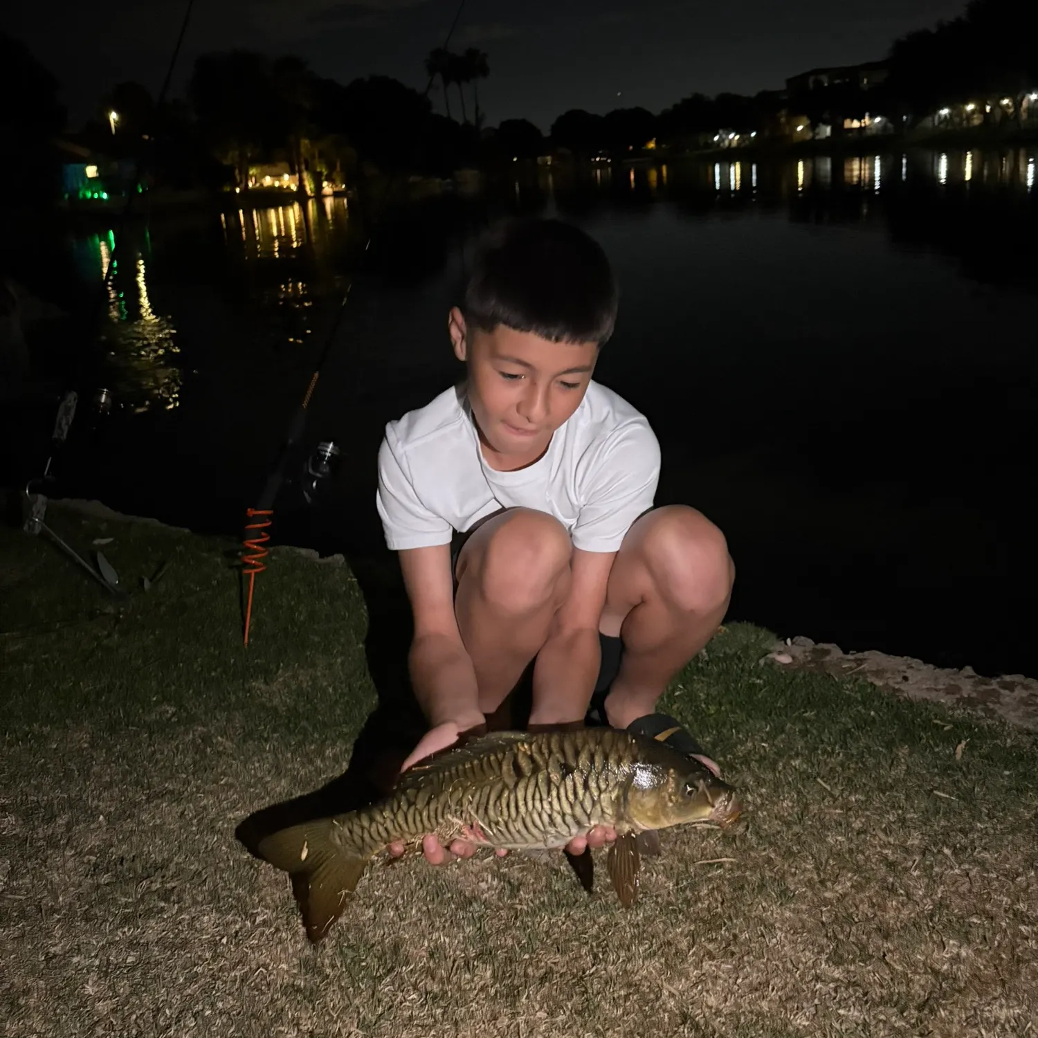 The most recent Mirror carp catches on Fishbrain