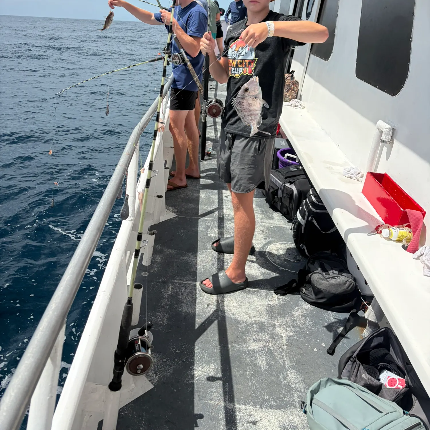 The most recent Whitebone porgy catches on Fishbrain