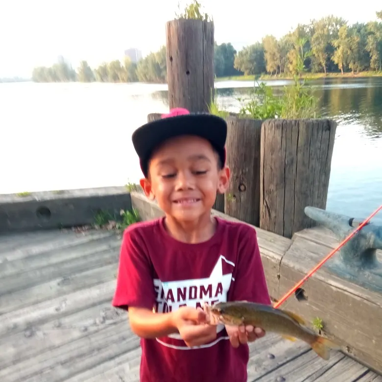 Smallmouth bass caught on Fishbrain