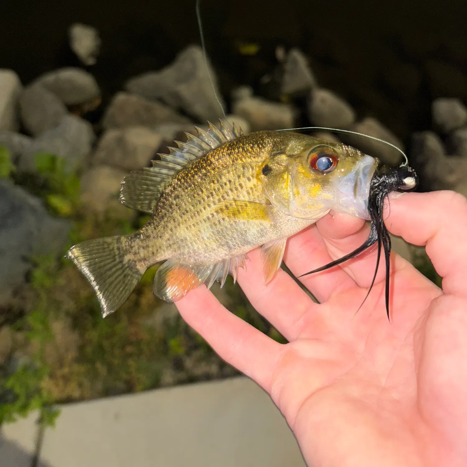 catch