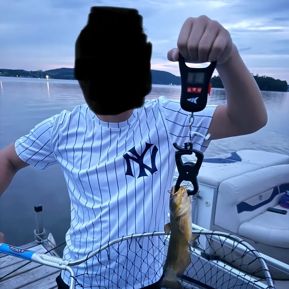 Yellow bullhead caught on Fishbrain