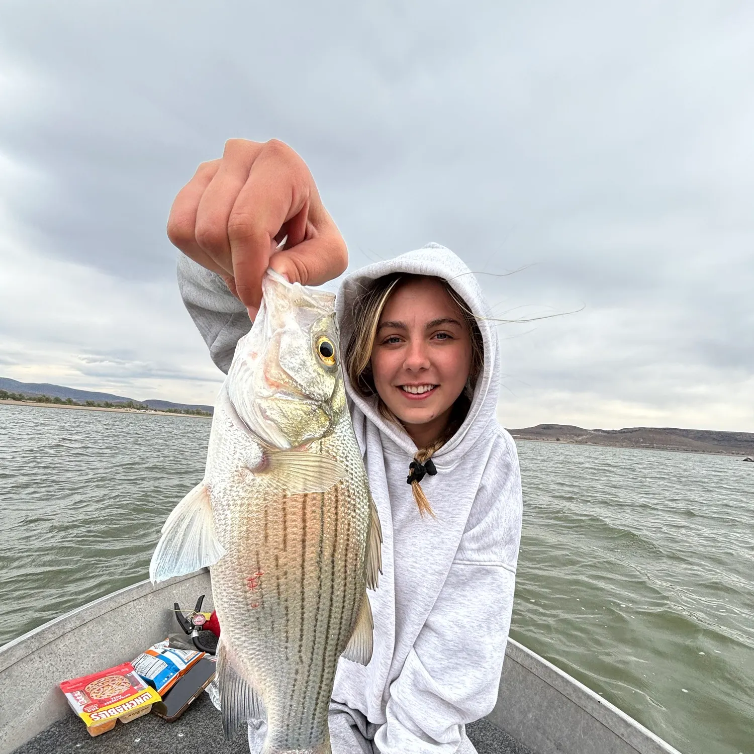 White bass caught on Fishbrain