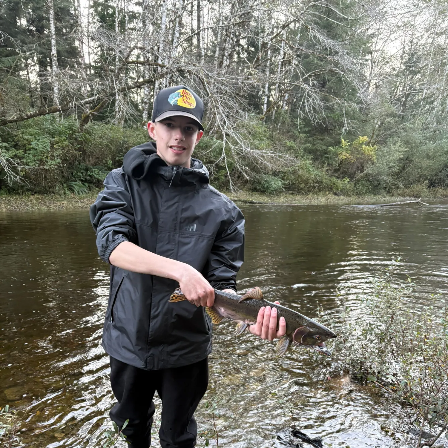 Pink salmon caught on Fishbrain
