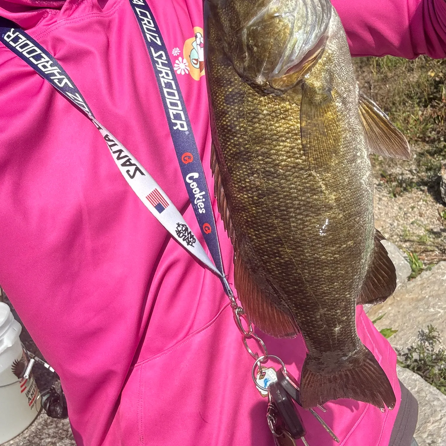 Smallmouth bass caught on Fishbrain