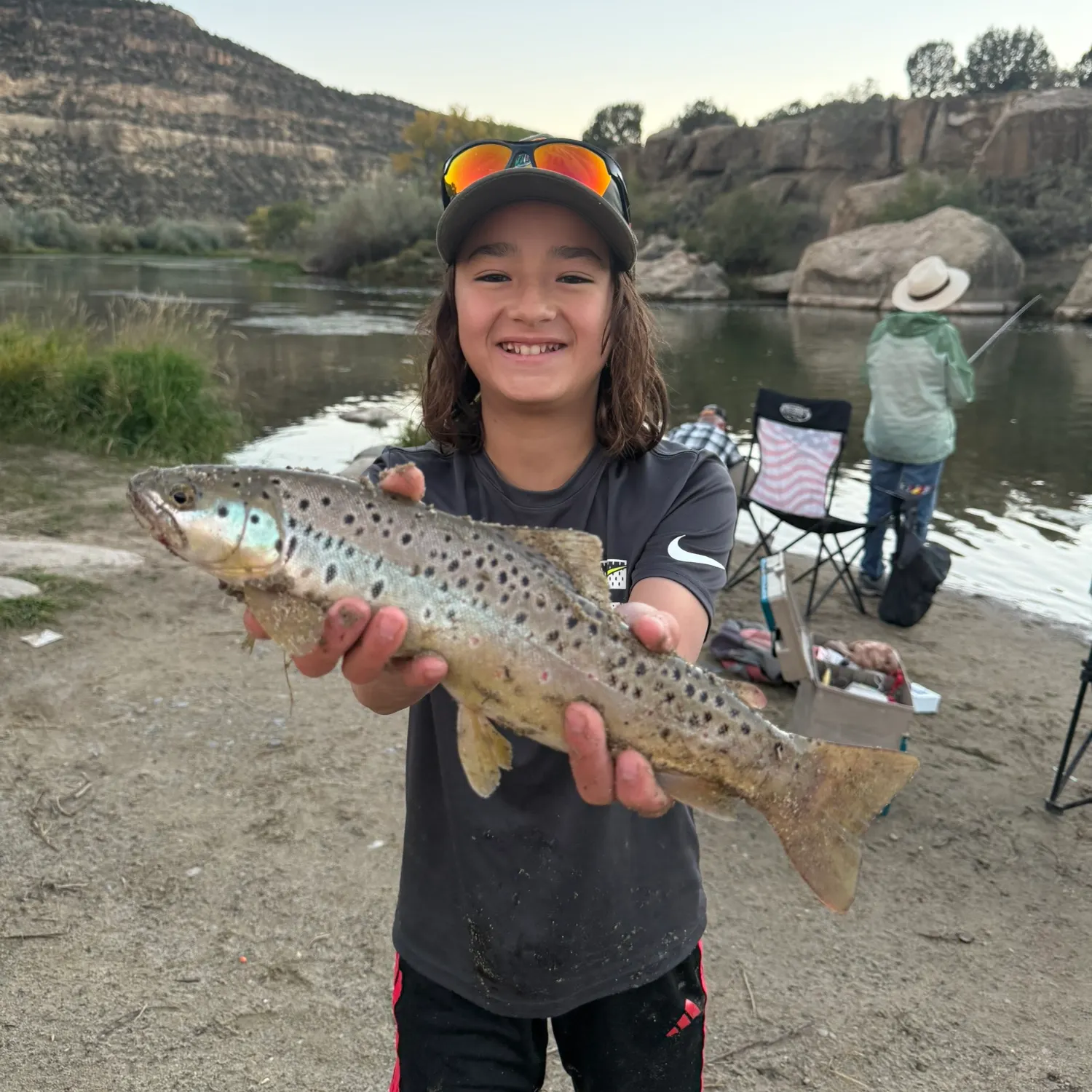 Brown trout caught on Fishbrain