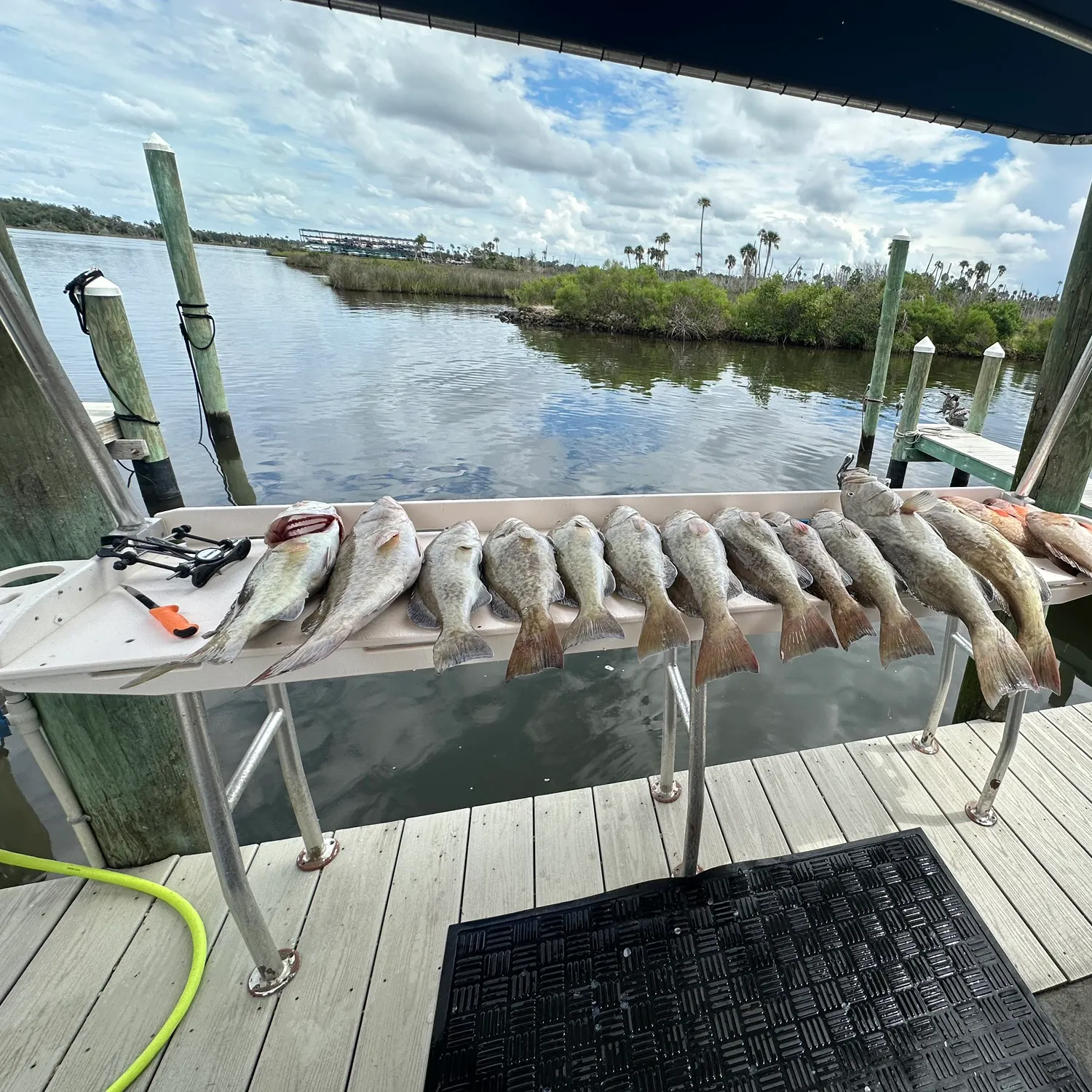 Fish caught on Fishbrain