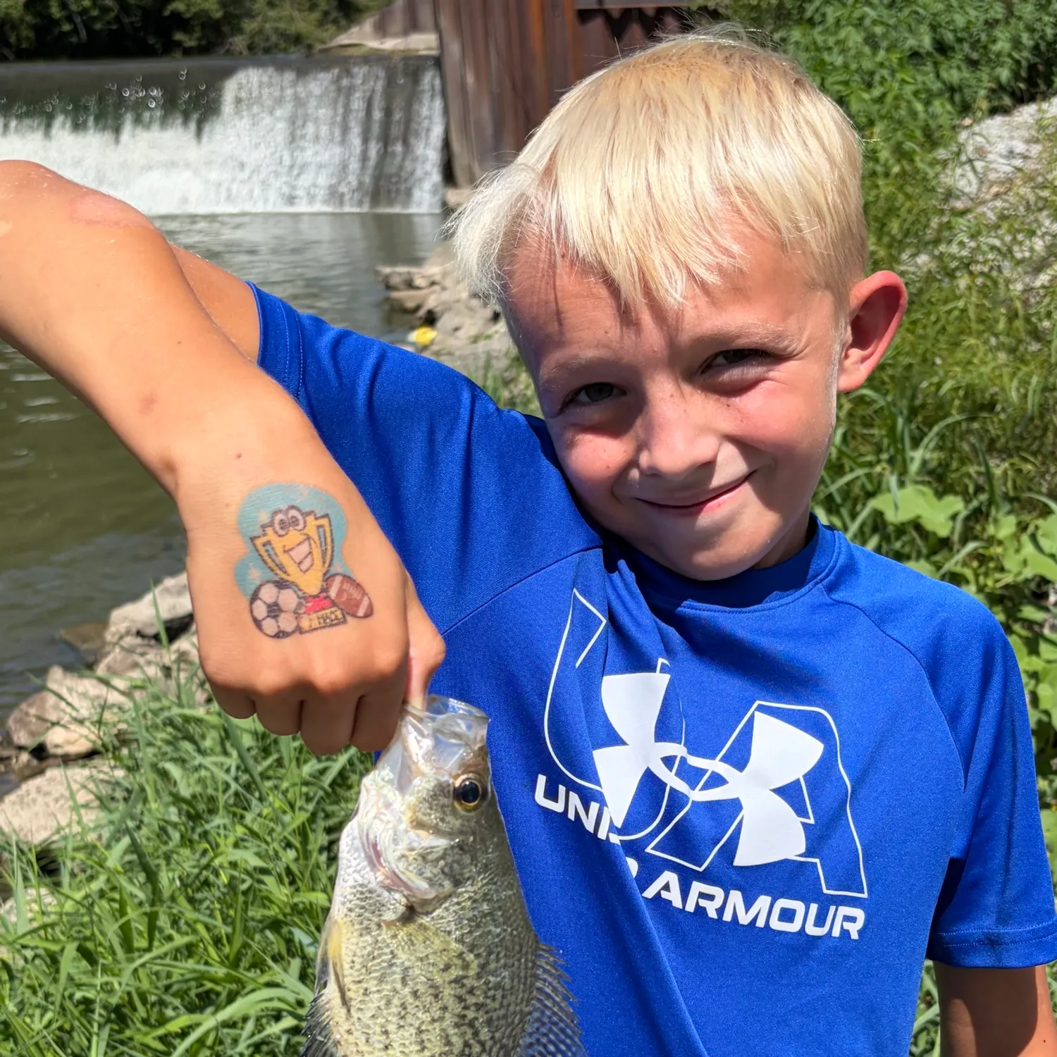Black crappie caught on Fishbrain