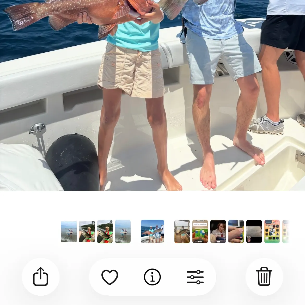 recently logged catches