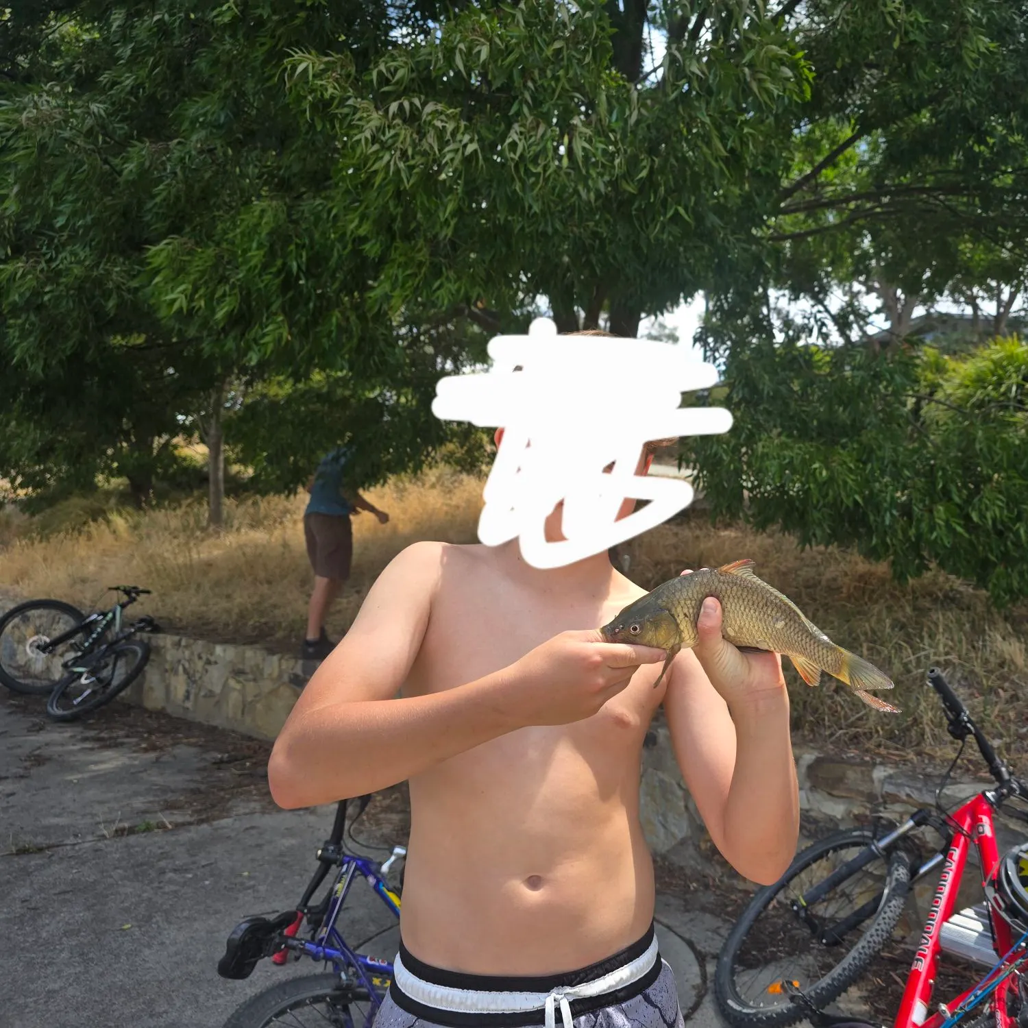 The most recent Common carp catches on Fishbrain