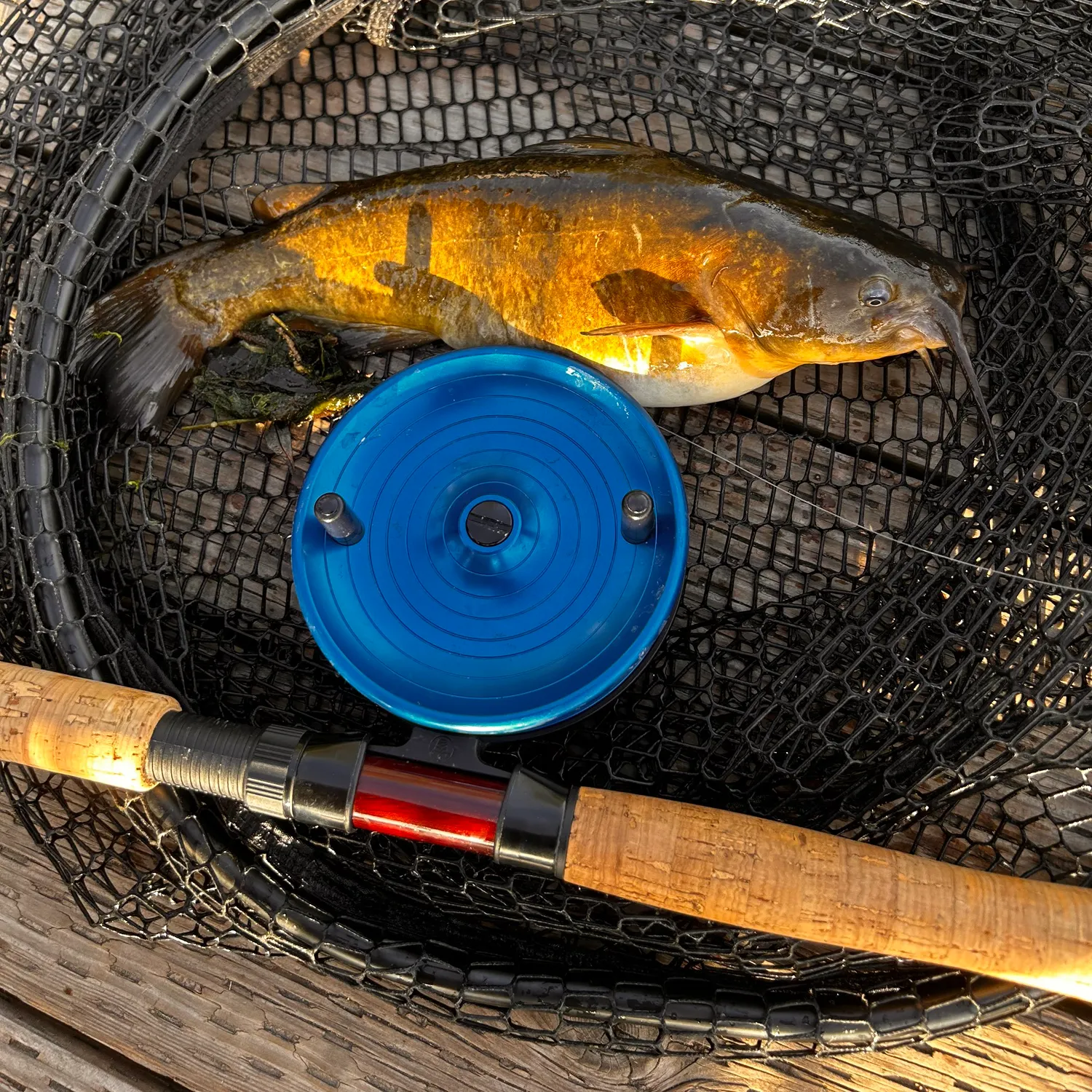 catch