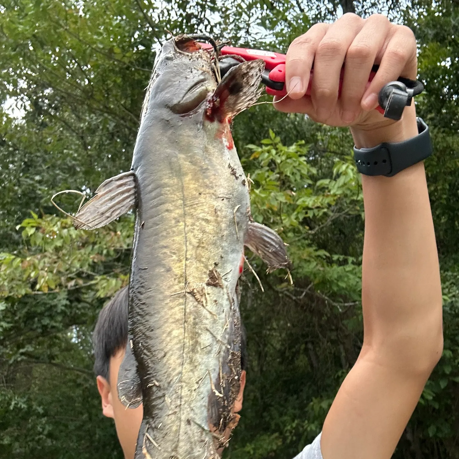 catch