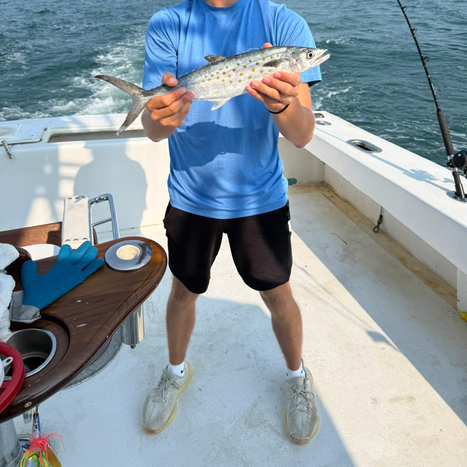 The most recent Spanish mackerel catches on Fishbrain