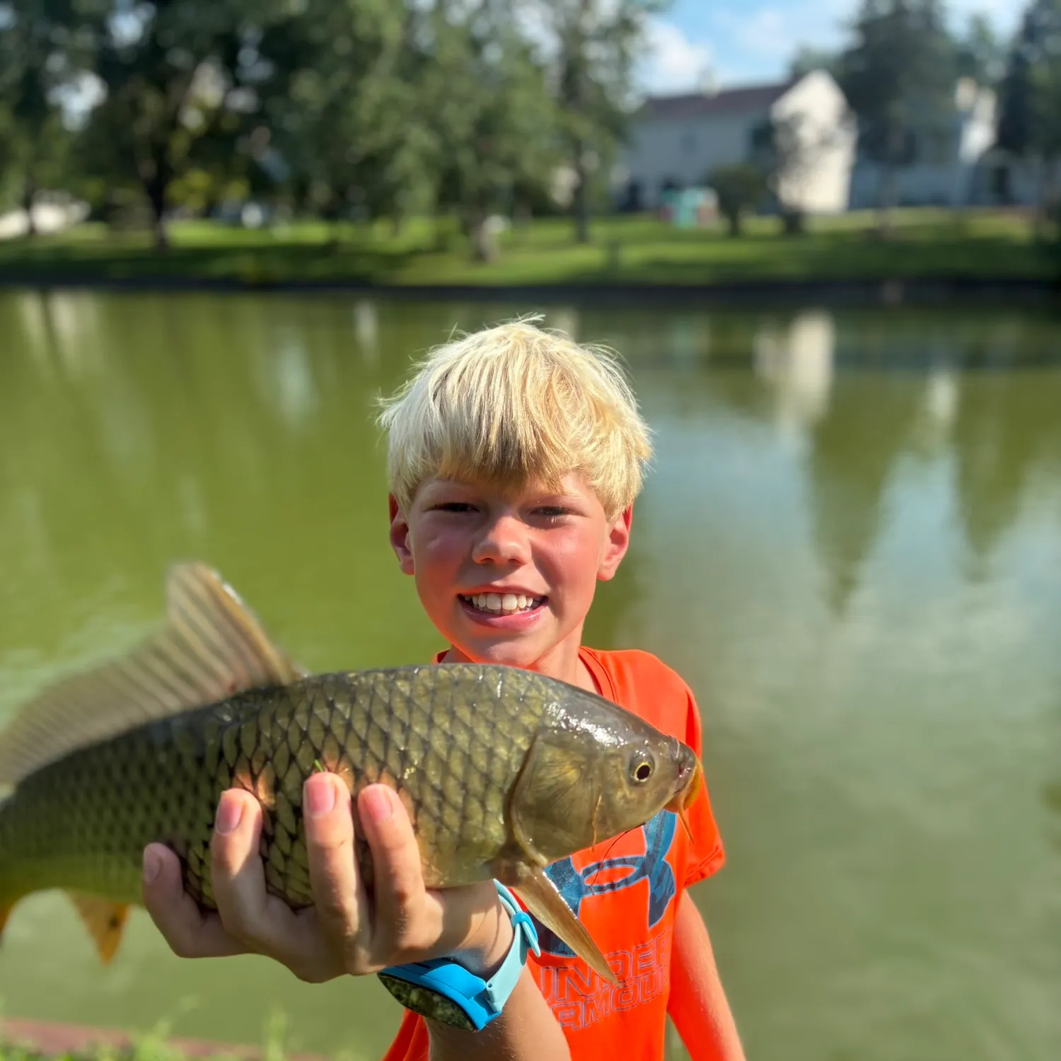 Common carp caught on Fishbrain