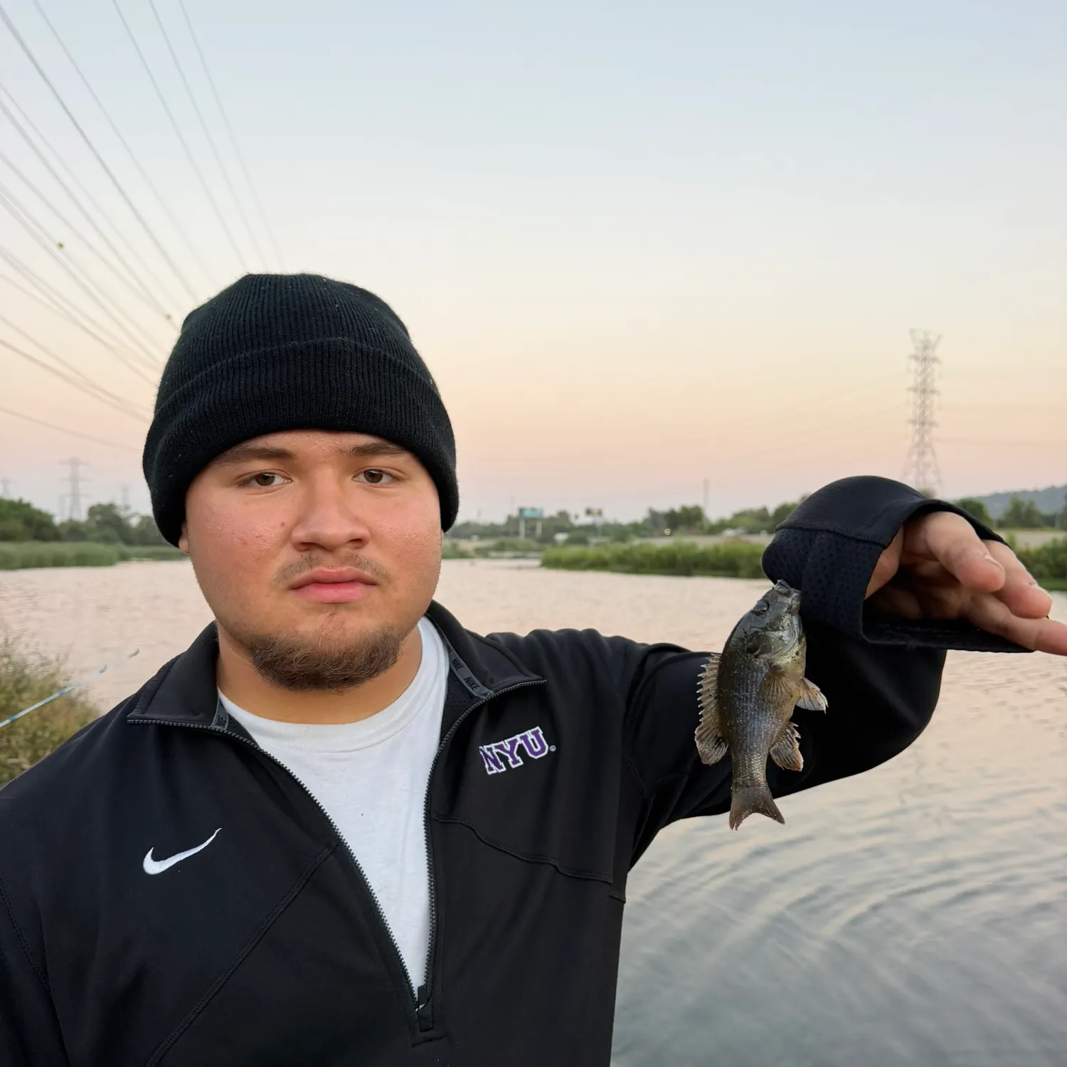 Green sunfish caught on Fishbrain