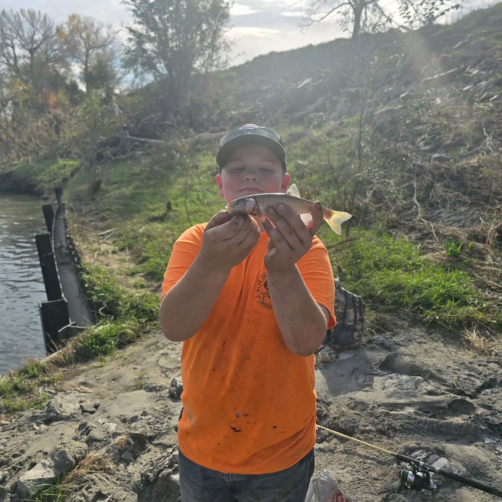 Creek chub caught on Fishbrain