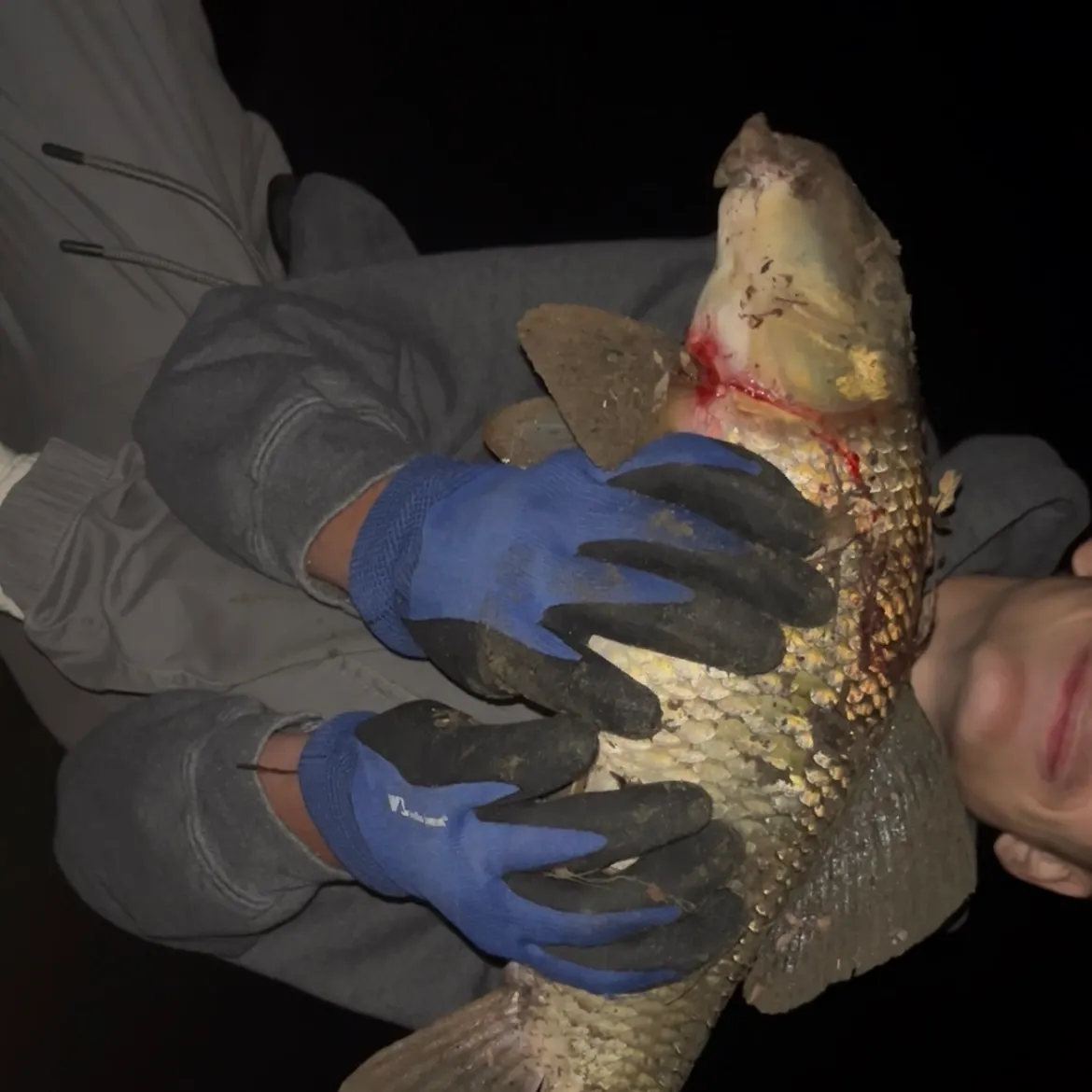 Silver redhorse caught on Fishbrain
