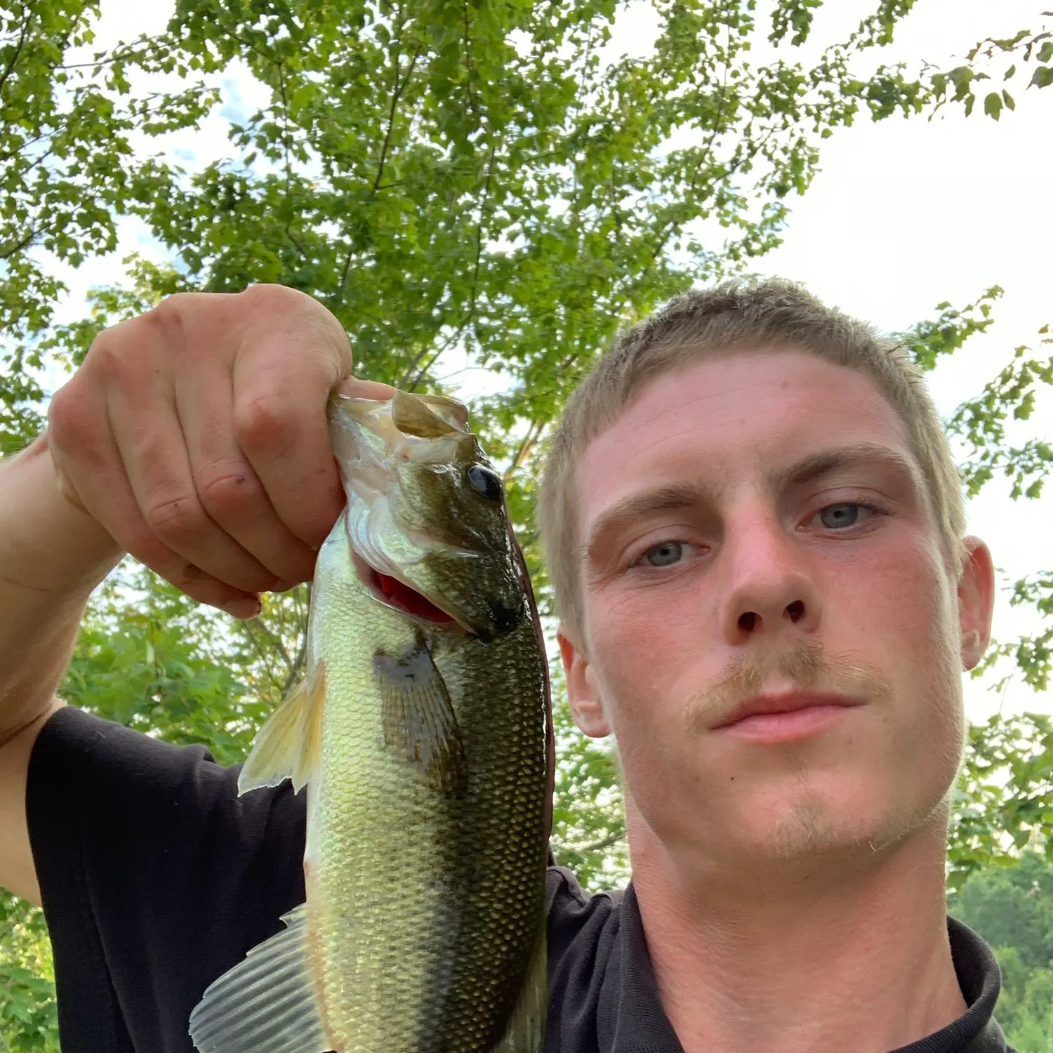 angler catch
