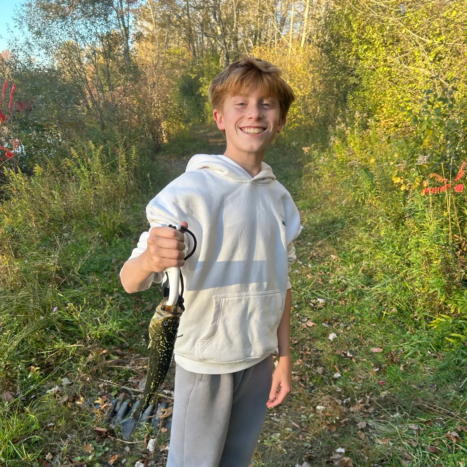 Smallmouth bass caught on Fishbrain