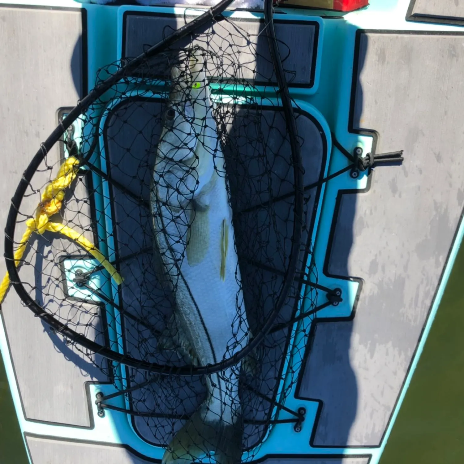 Post image from fcoryell