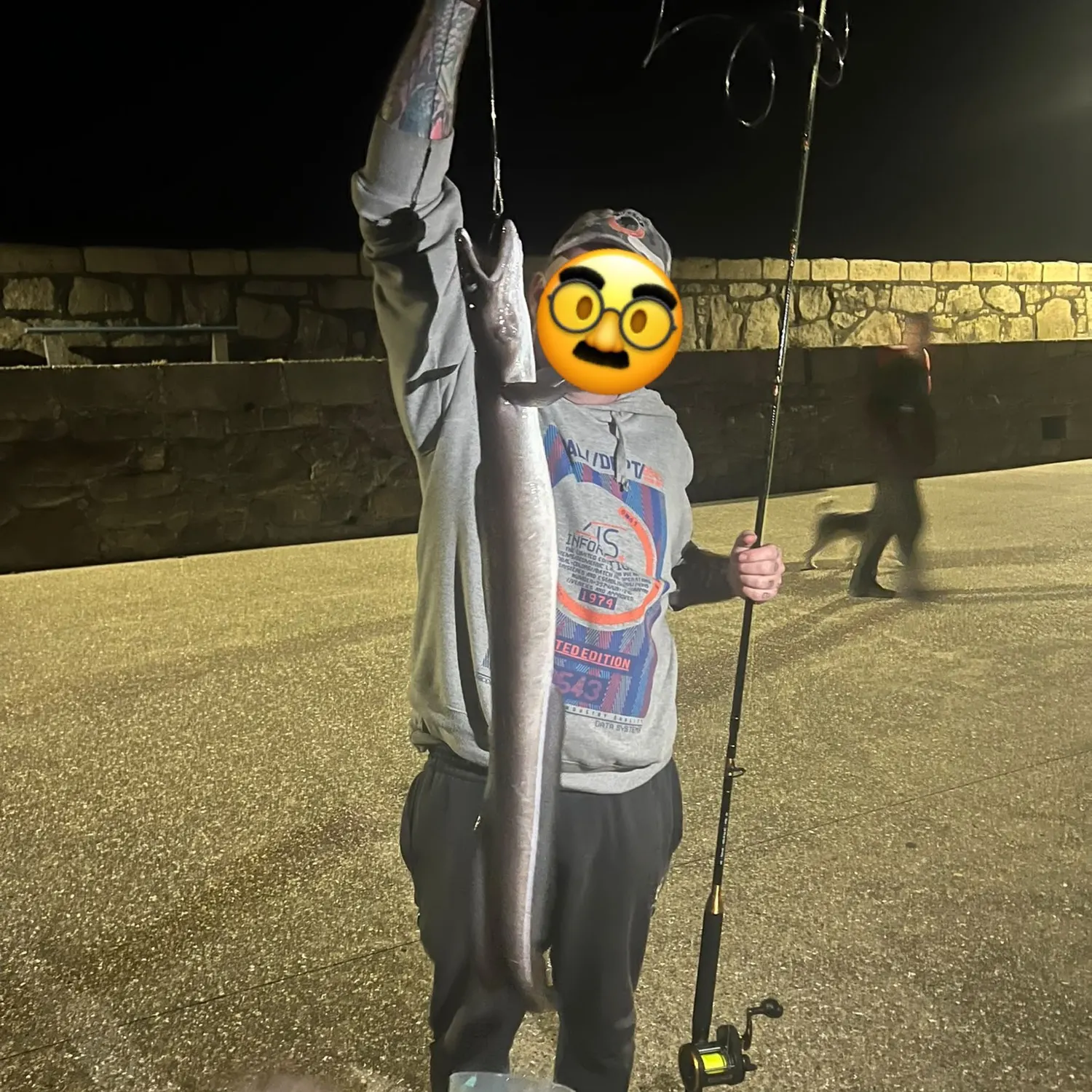 The most recent European conger catches on Fishbrain