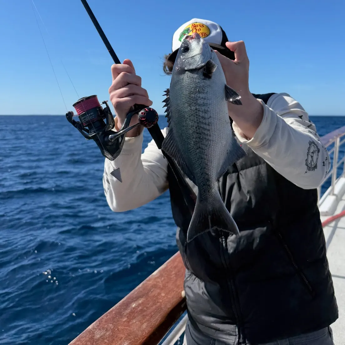 The most recent Halfmoon catches on Fishbrain