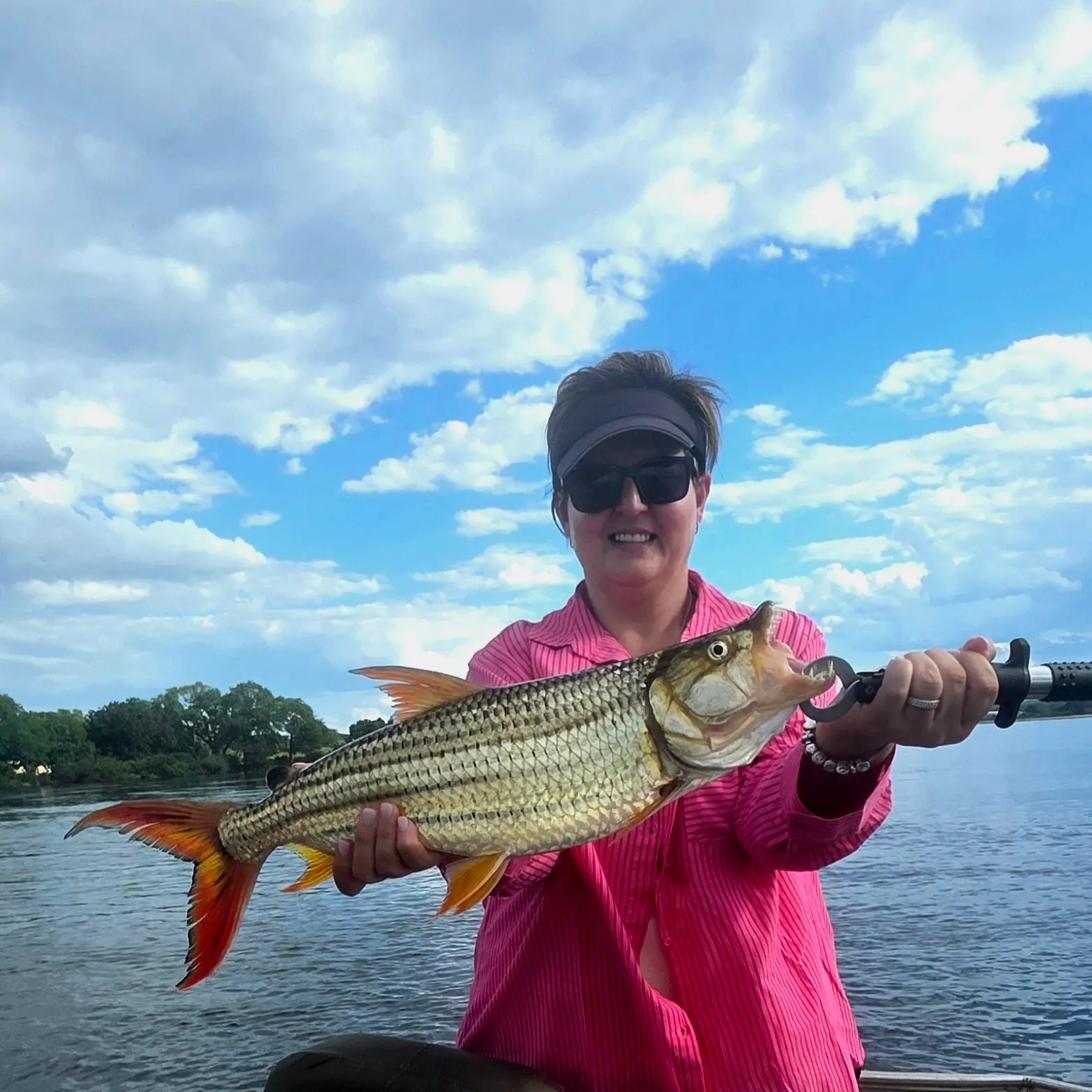 The most recent African tigerfish catches on Fishbrain
