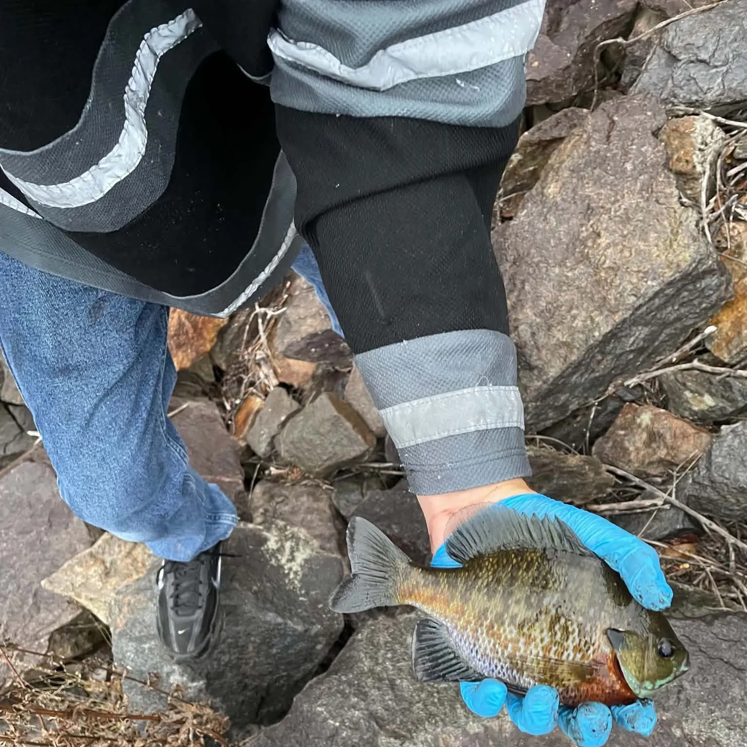 catch