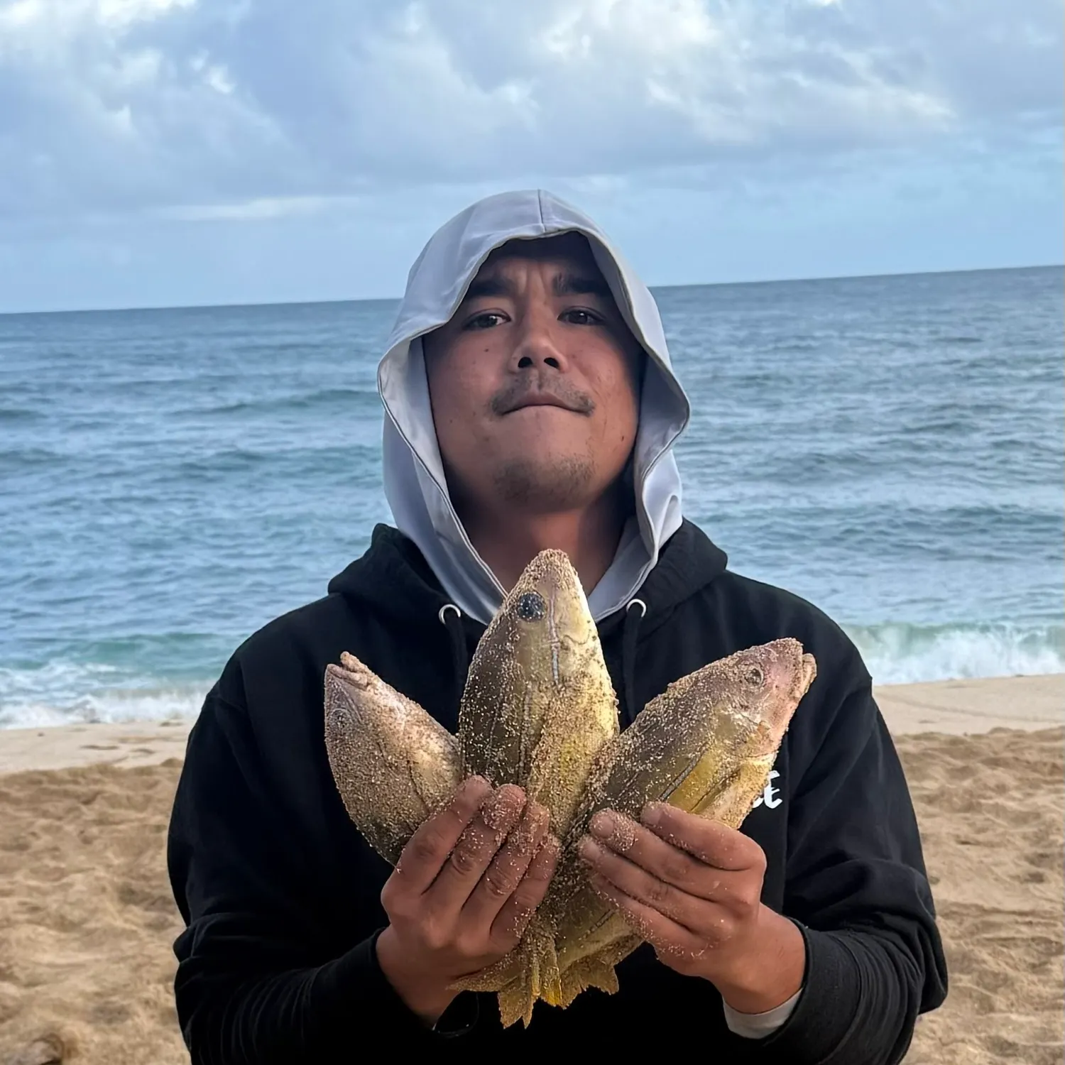 The most popular recent Common bluestripe snapper catch on Fishbrain