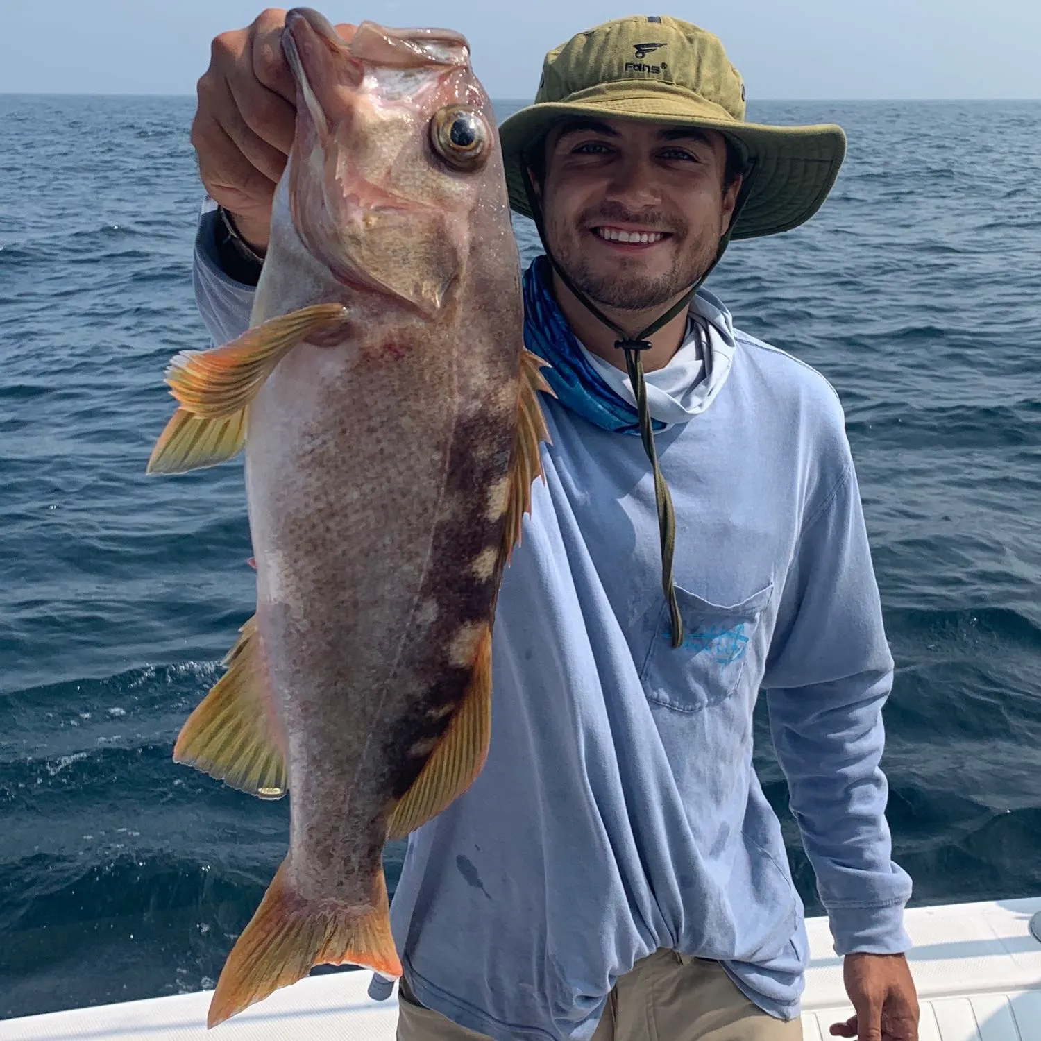 The most popular recent Olive rockfish catch on Fishbrain