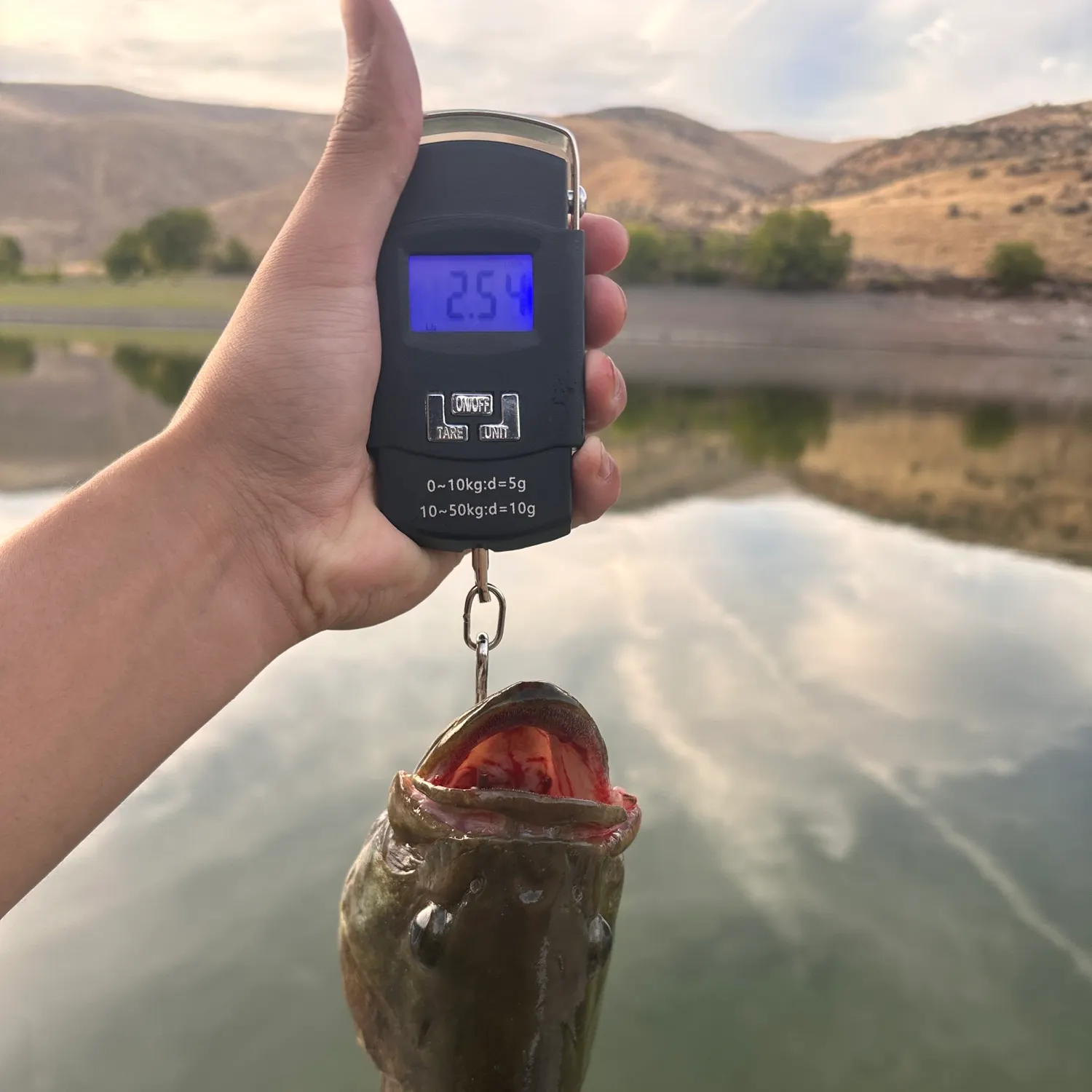 Smallmouth bass caught on Fishbrain