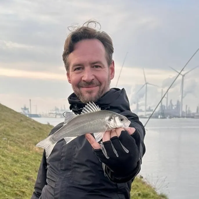 The most recent European seabass catches on Fishbrain