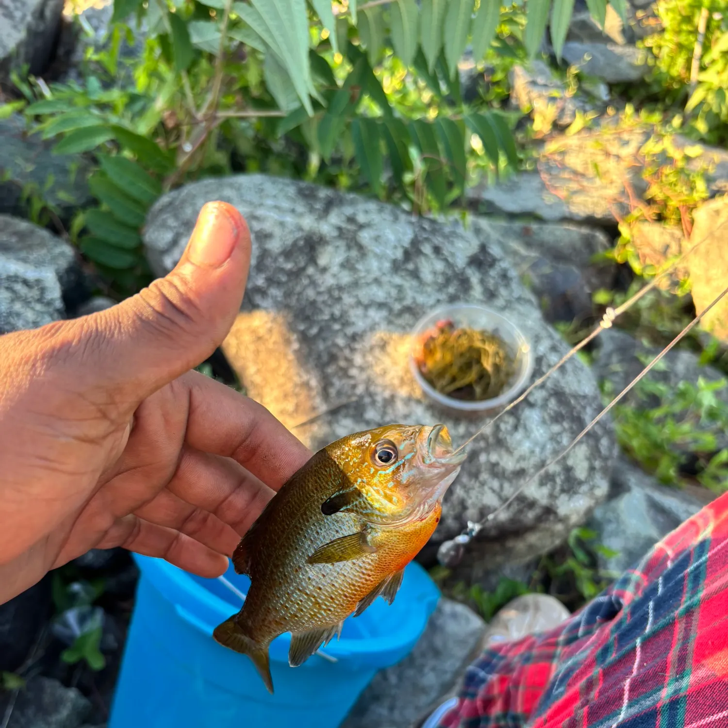catch