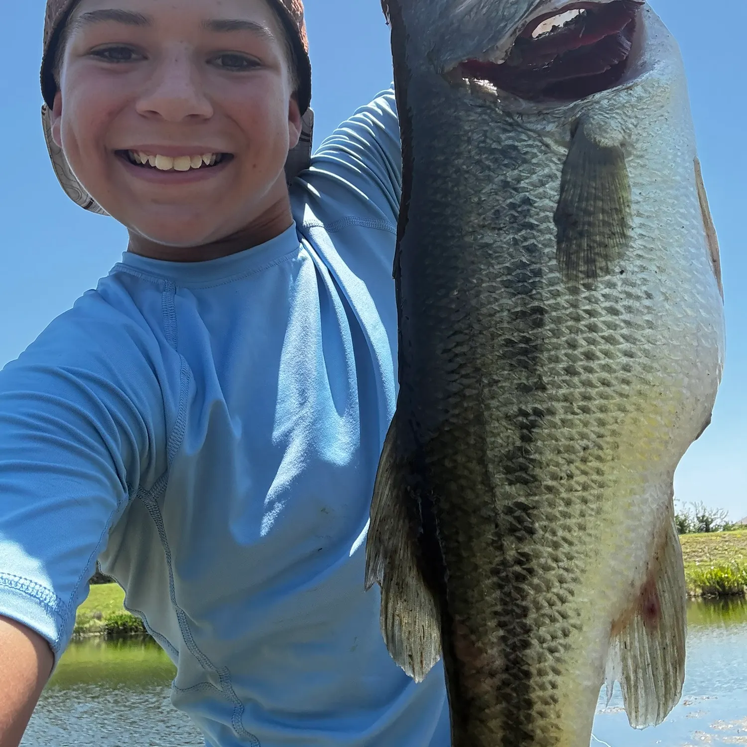 Largemouth bass caught on Fishbrain