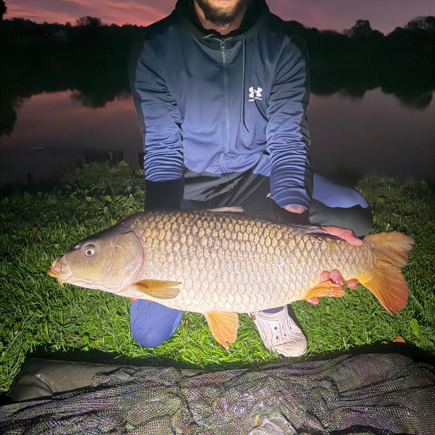 Common carp caught on Fishbrain