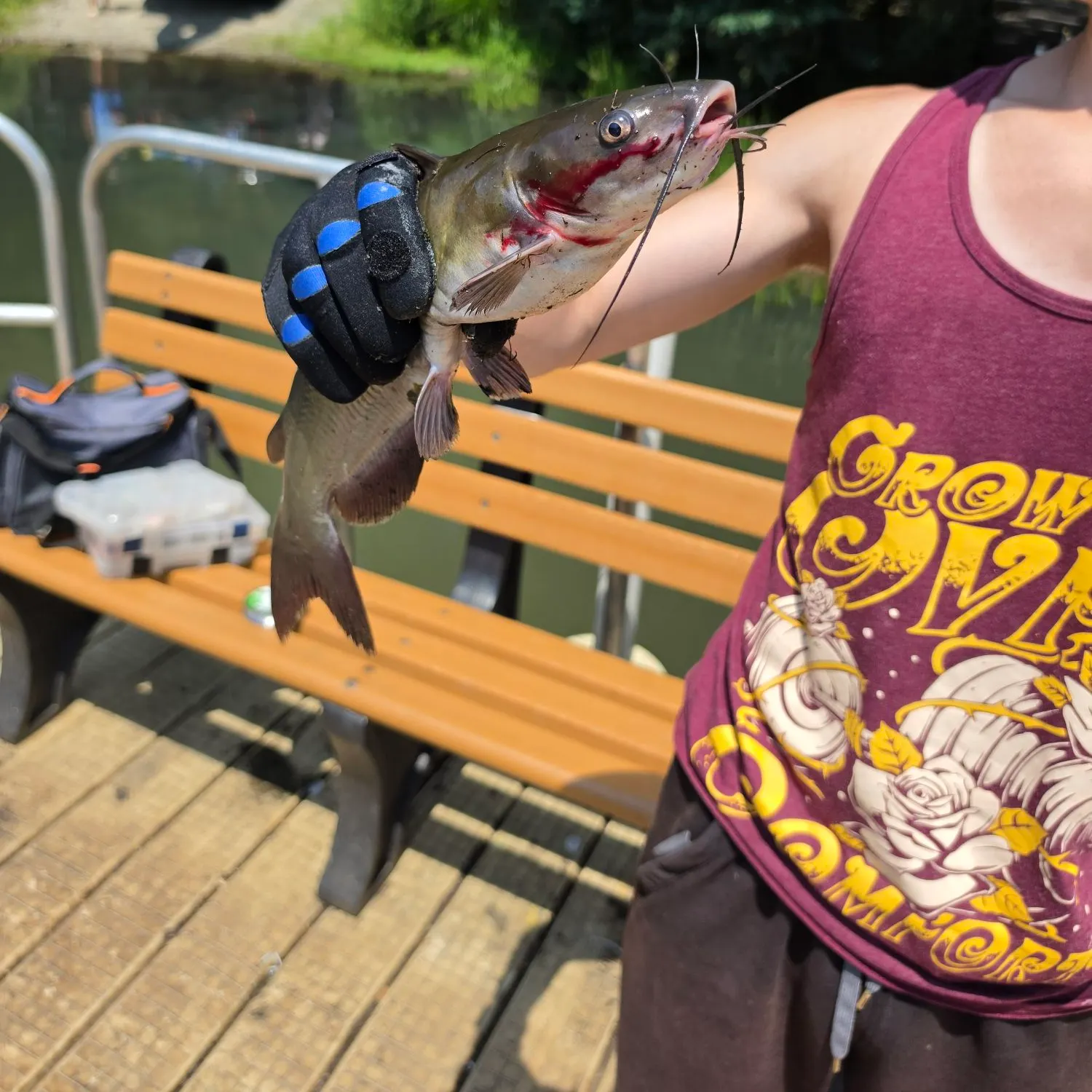 catch