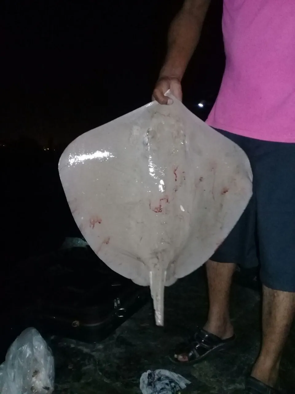 Post image from Zaeem