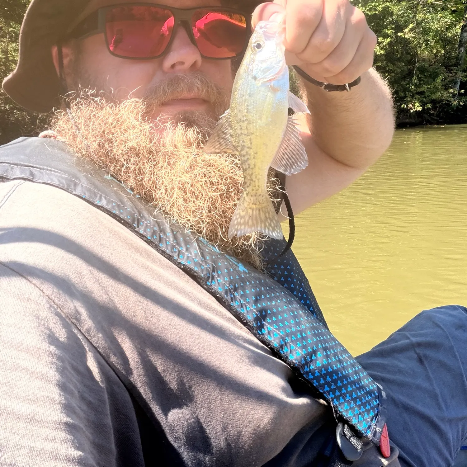 White crappie caught on Fishbrain