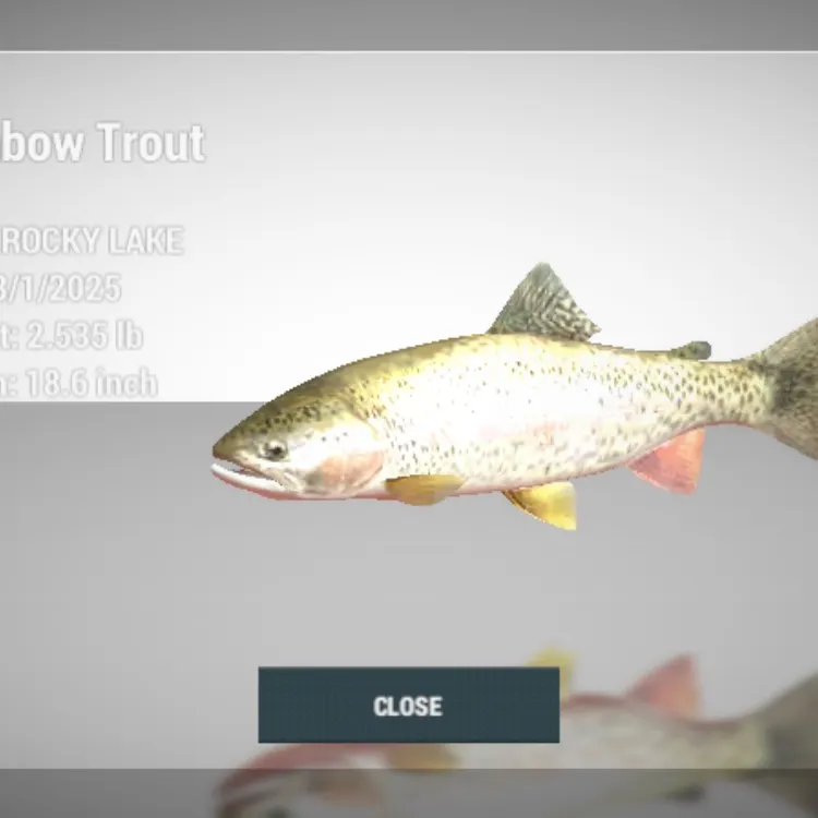 angler catch