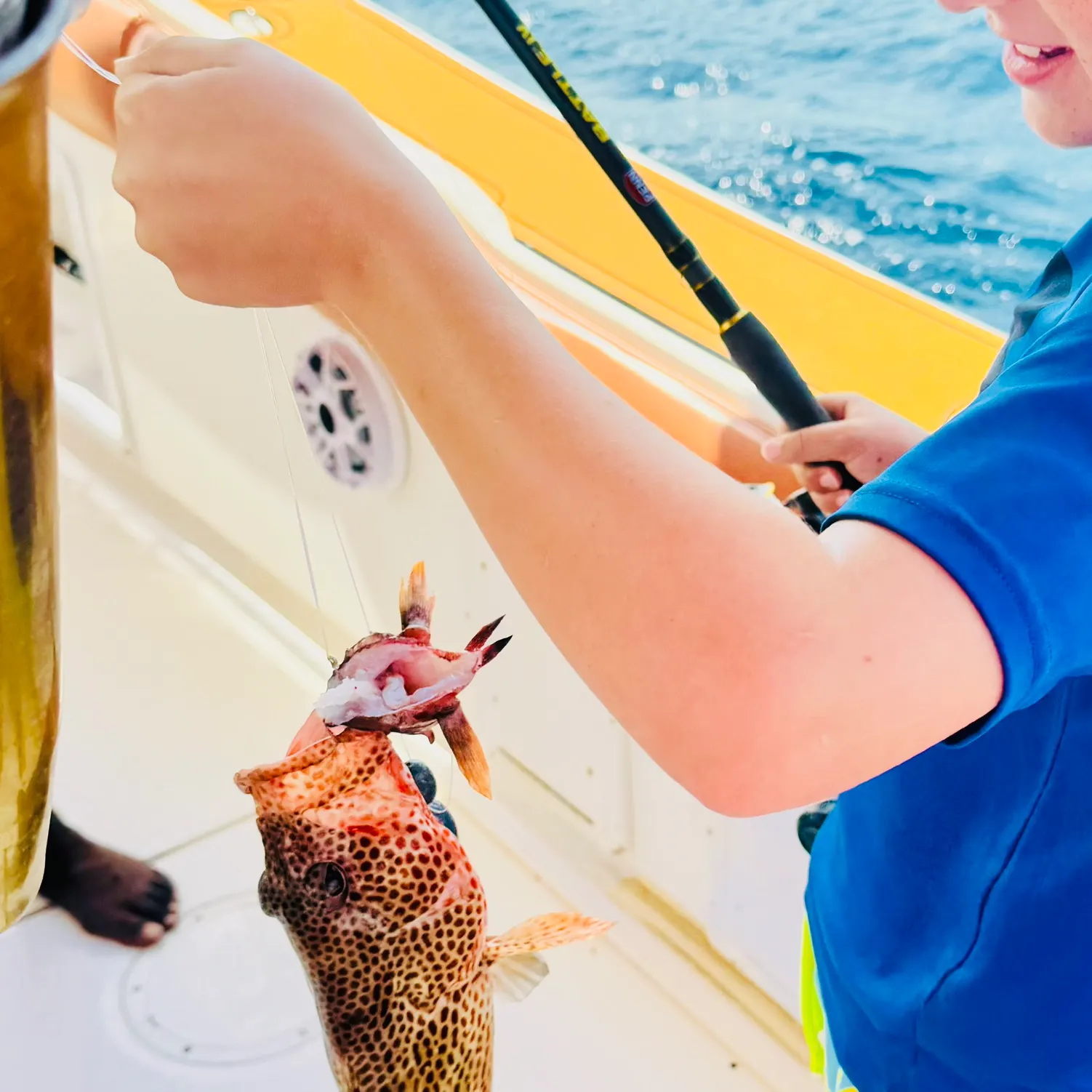 catch