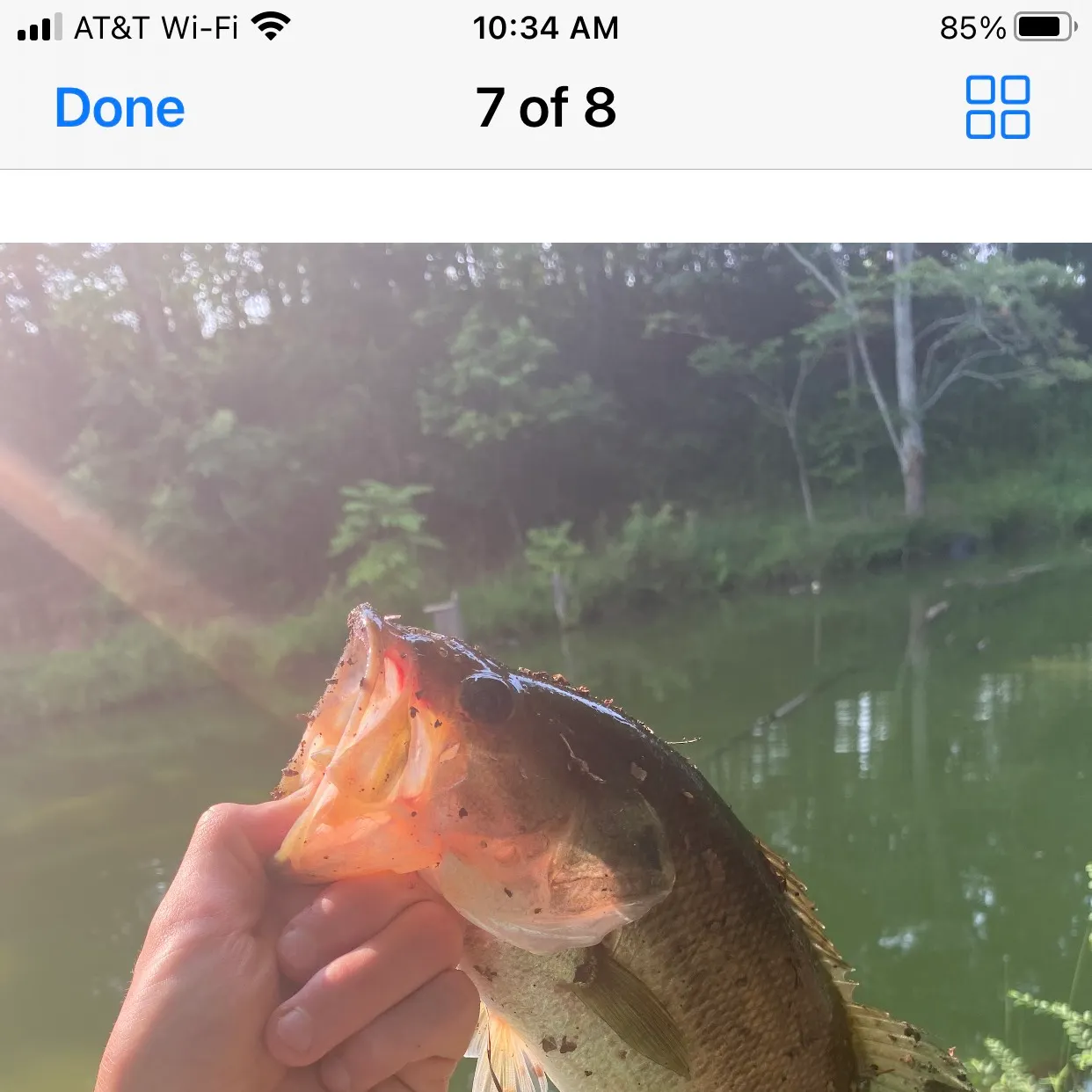 recently logged catches