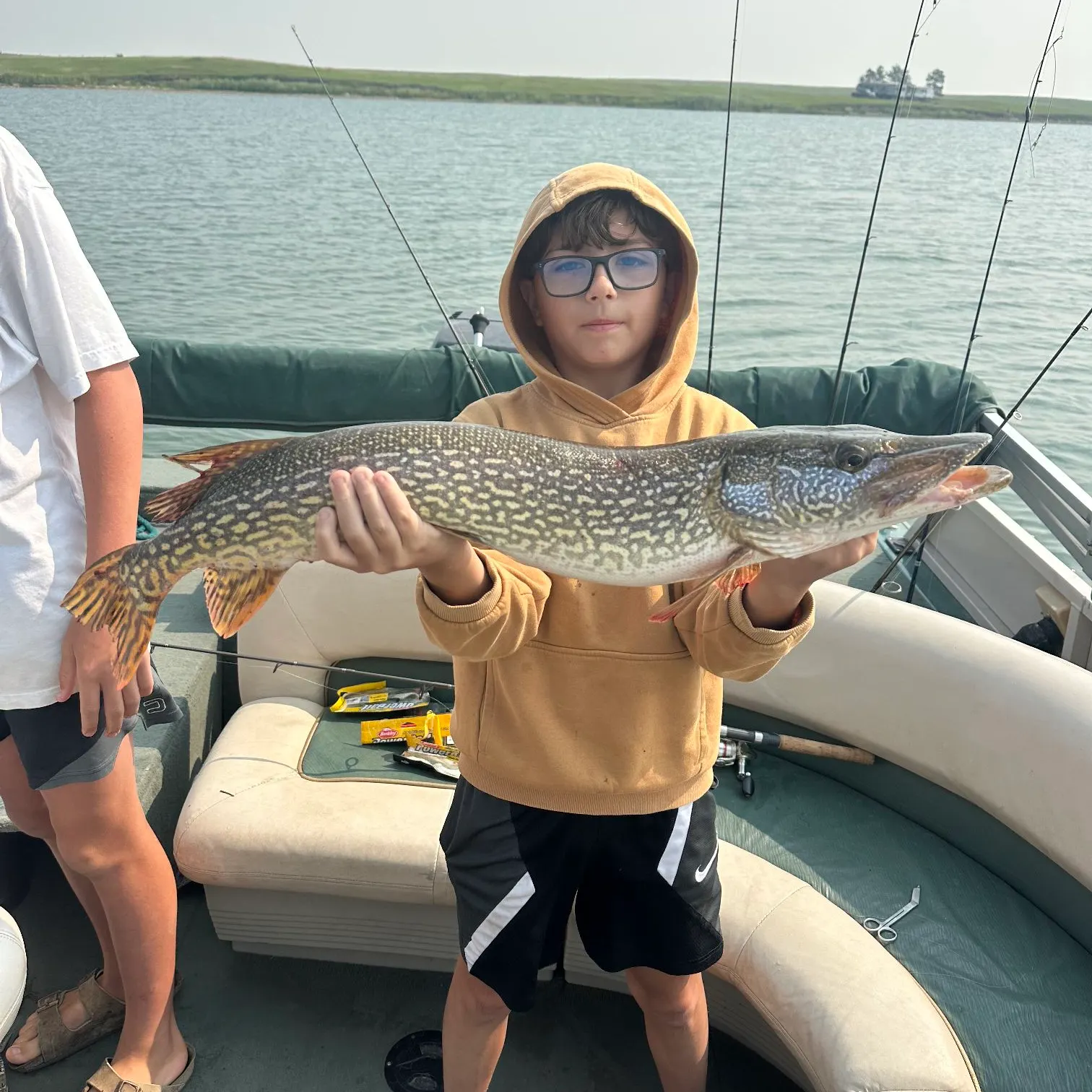 The most recent Northern pike catches on Fishbrain