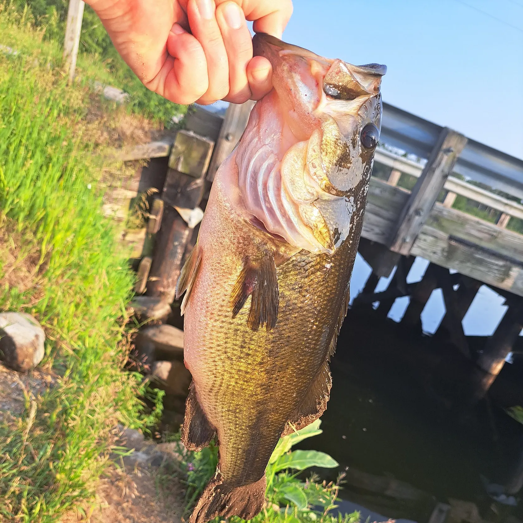 angler catch
