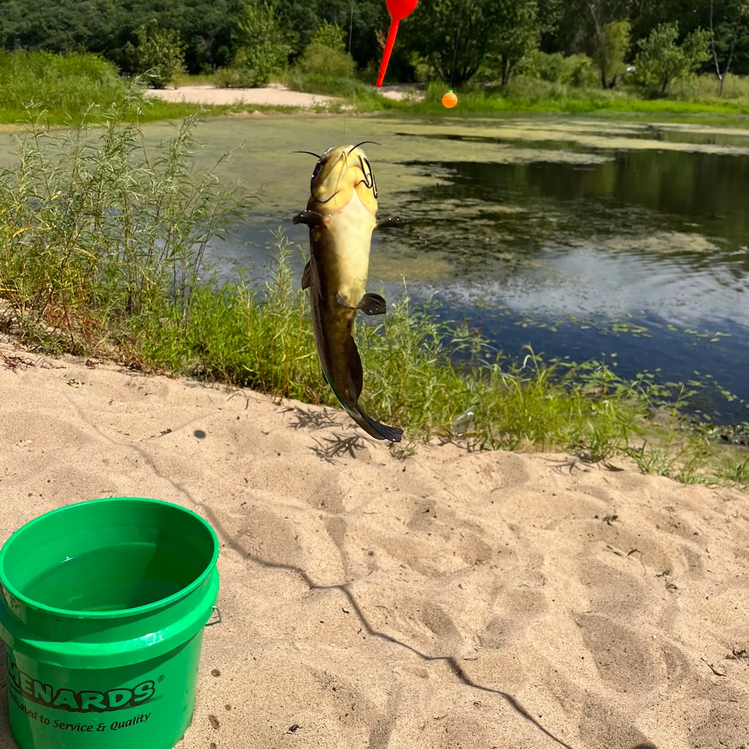 catch