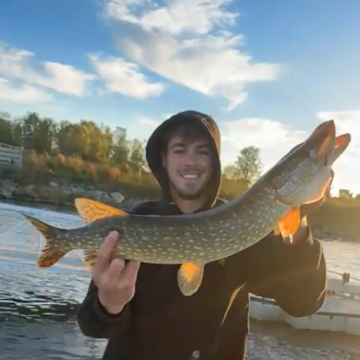 Northern pike caught on Fishbrain
