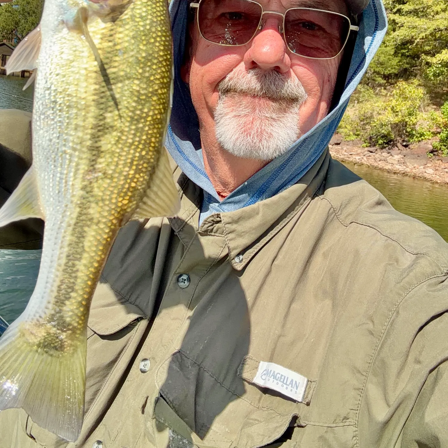 Spotted bass caught on Fishbrain