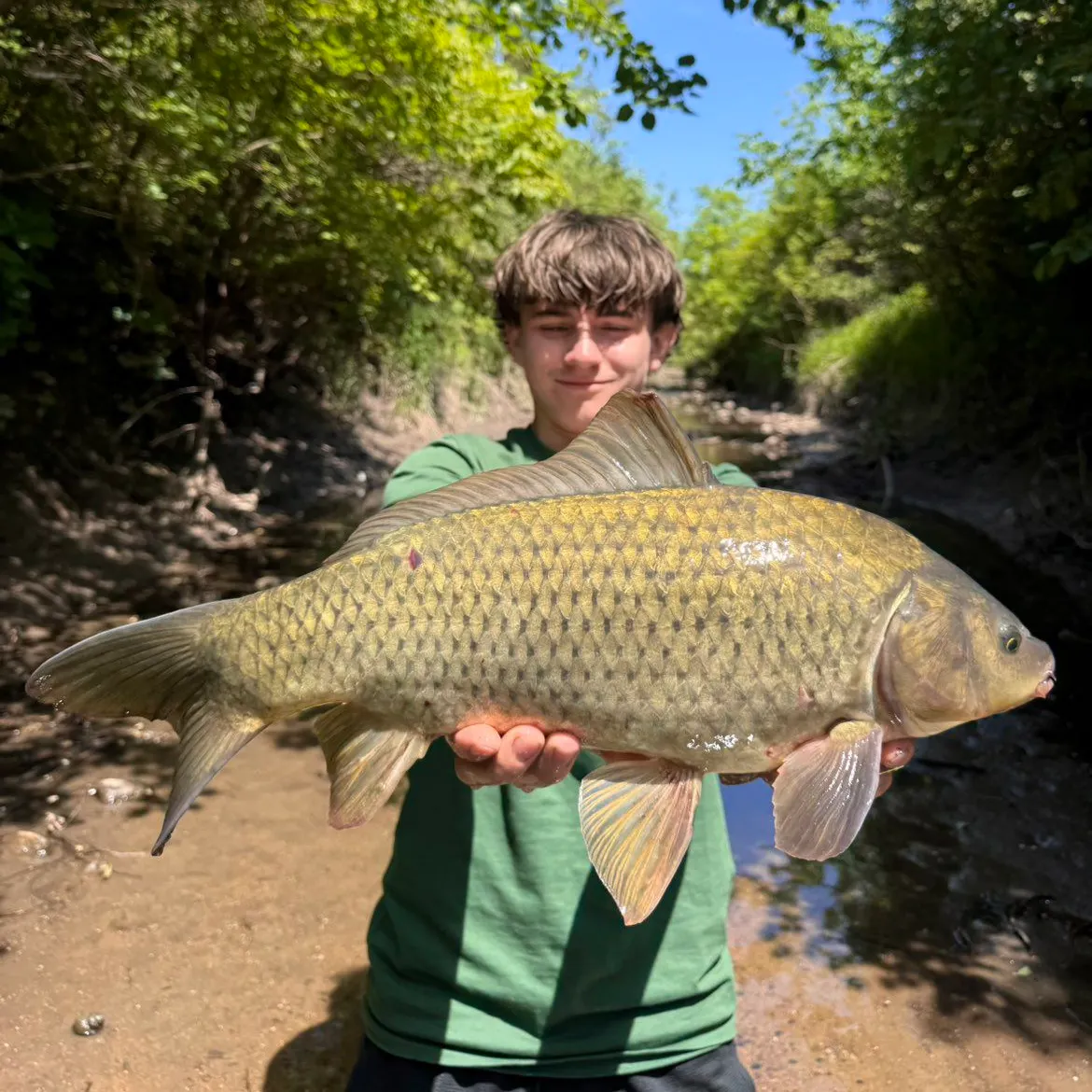 The most recent F1 carp catches on Fishbrain