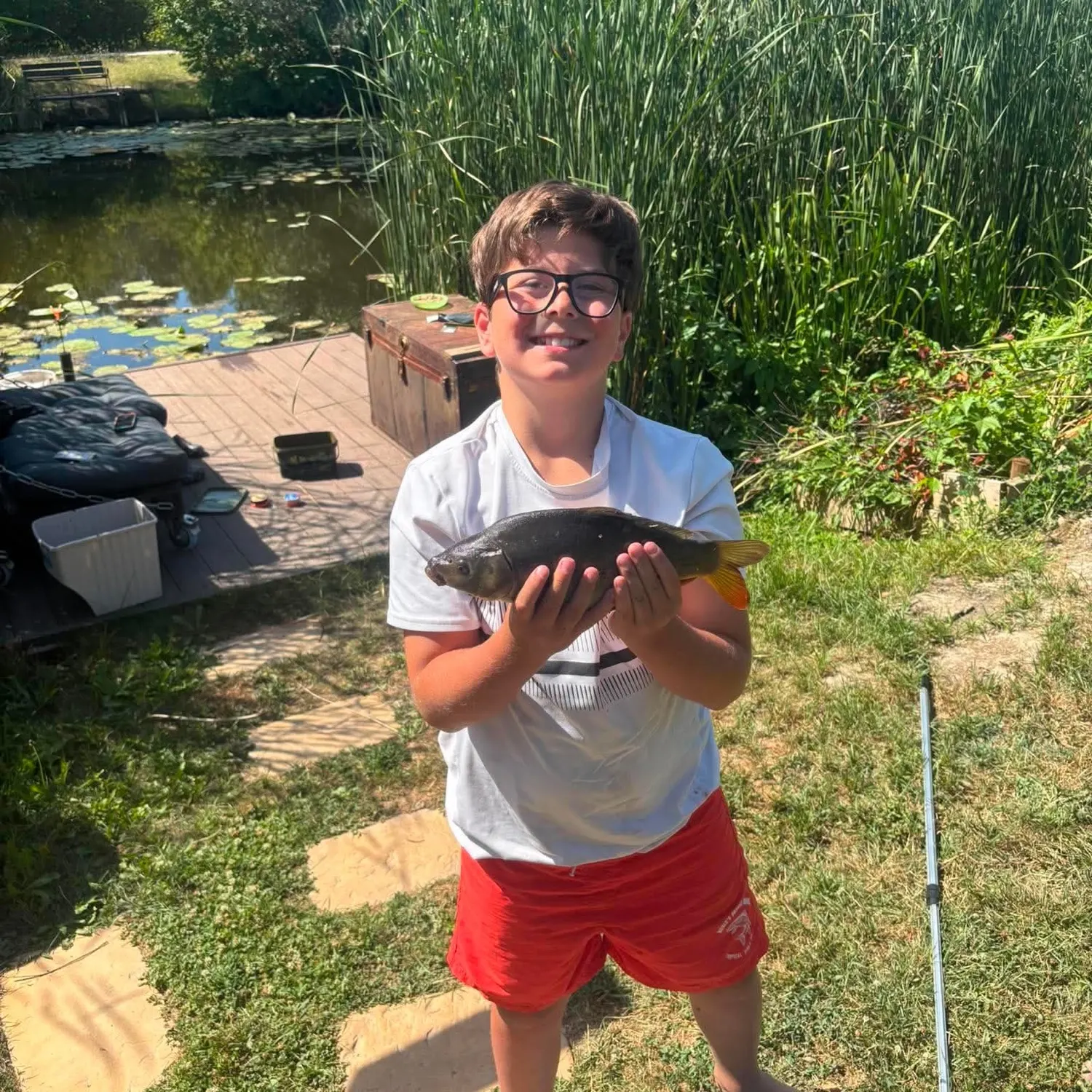Leather carp caught on Fishbrain